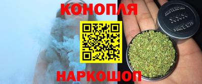 сатива Заволжье