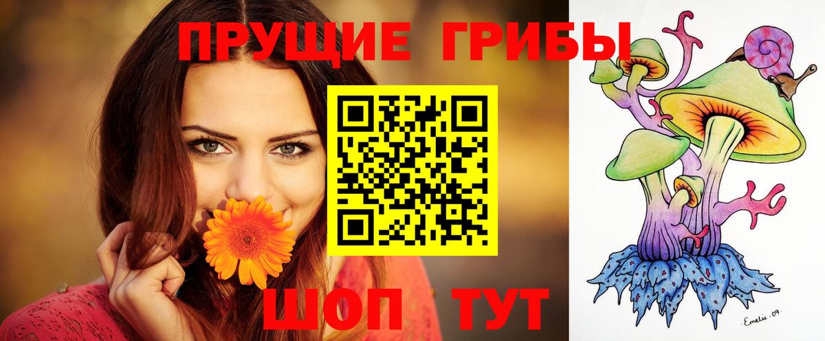 Псилоцибиновые грибы мухоморы  Вход с VPN  Глазов 