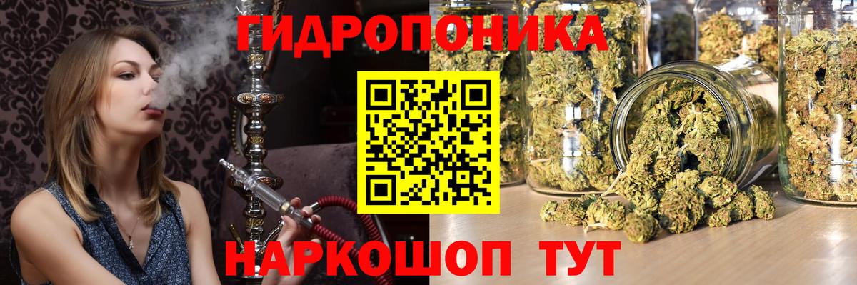 Каннабис OG Kush Глазов